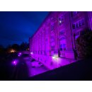 IRIDIUM LED Floodlight 200W LEDs purple 120° IP65 26000 lm